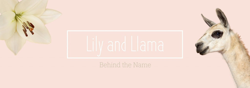 Lily And Llama: Behind The Name